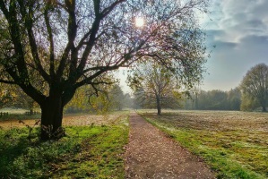 Прогулка на свежем воздухе